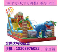 氣模玩具 歡樂(lè)的充氣藝術(shù)與多元化產(chǎn)品庫(kù)